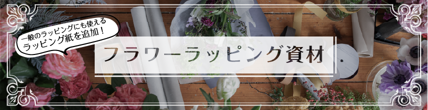 ̤Υåԥ󥰤ˤȤåԥ󥰻ɲáեåԥ󥰻