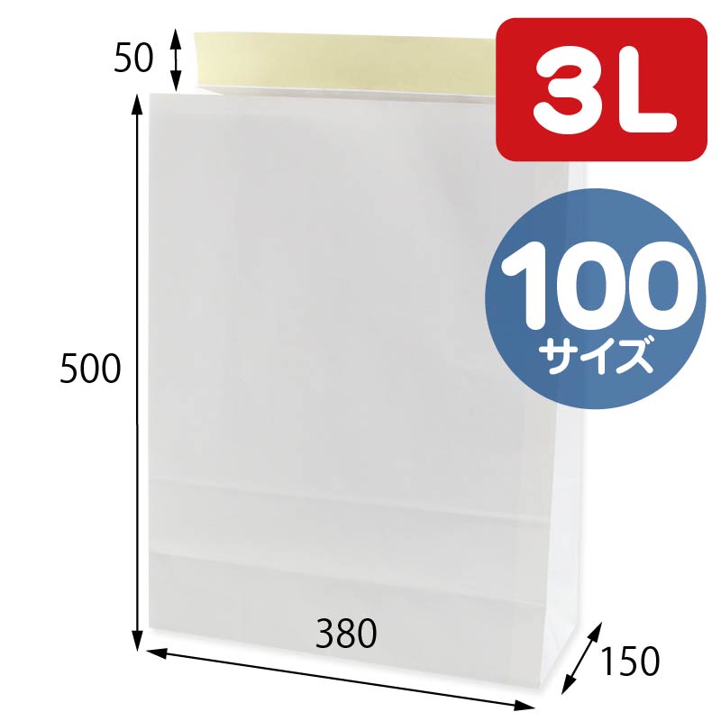 宅配袋 白無地3L